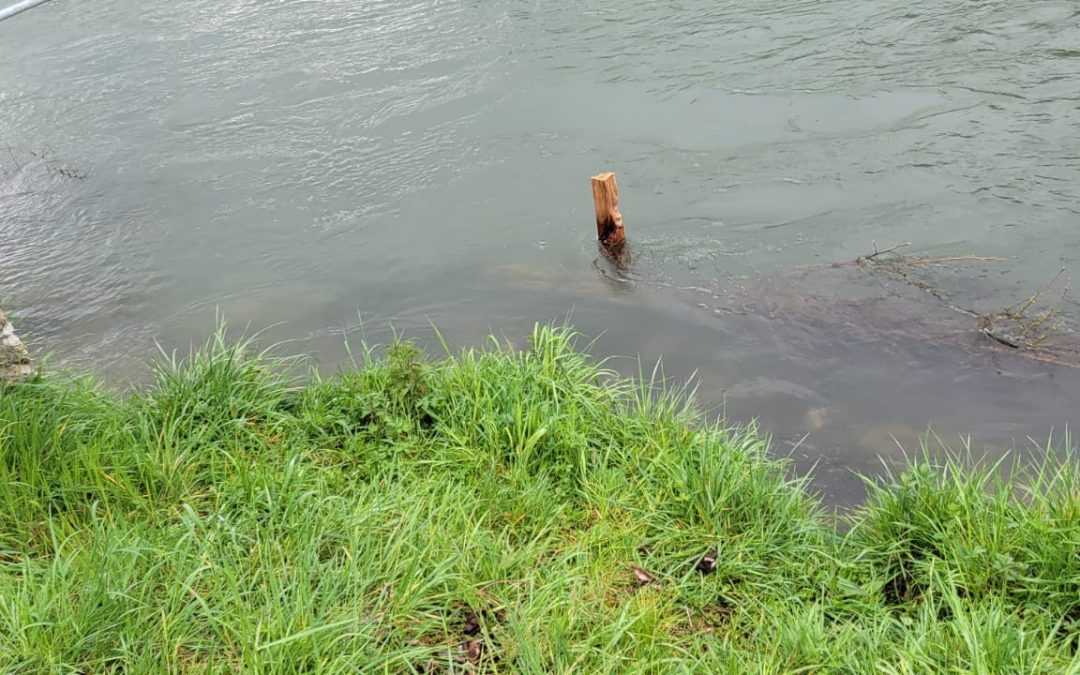 Pose de fagots dans la Loue